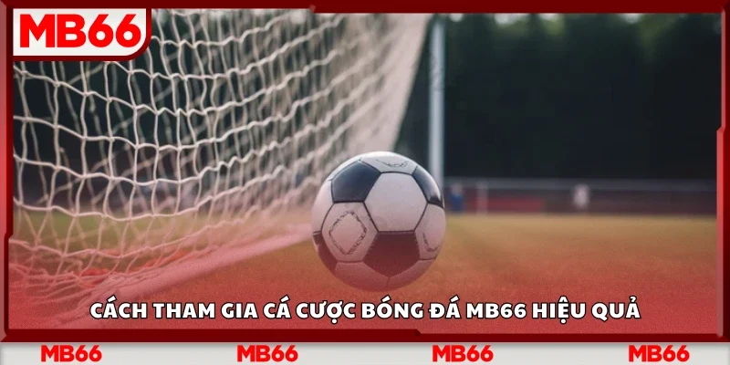 Hướng dẫn tham gia cá cược bóng đá Mb66 hiệu quả